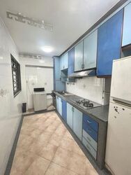 Blk 19 Cantonment Towers (Bukit Merah), HDB 4 Rooms #529494391